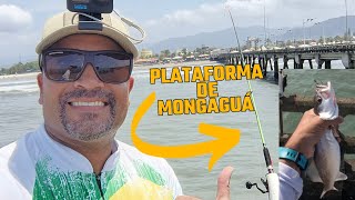 PLATAFORMA DE MONGAGUÃ mais um dia de pescaria ðŸŽ£fishing fish pescaria peixes [upl. by Allekim966]