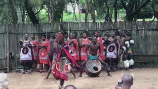 This is Swaziland Mantenga Cultural Village [upl. by Giana]