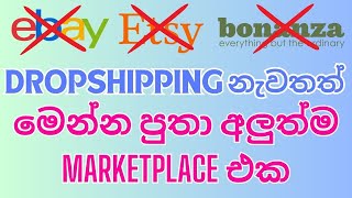 New Dropshipping Sinhala  New Selling Platforms  Ebay Etsy Alternatives  Earn Money Online [upl. by Korb]