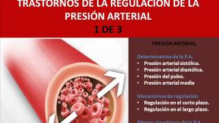 Fisiopatología de la presión arterial 1 de 3 [upl. by Marguerita]