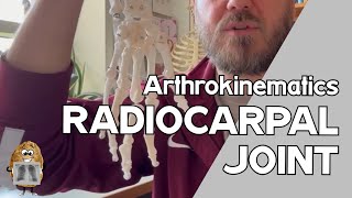 Radiocarpal Joint Arthrokinematics amp Osteokinematics [upl. by Agon595]