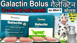 galactin vet bolus uses in hindi himalaya Galactin Bolus composition dosage himalaya vetbolusvet [upl. by Ahsyt357]