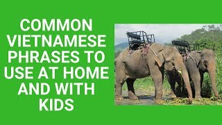 Common Vietnamese phrases to use at home and with kids [upl. by Aryad851]