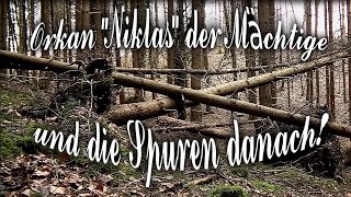 Orkan  Sturm Niklas der Mächtigeund die Spuren danach [upl. by Annauqaj]