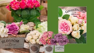 The Green Thumb Seed Co Catalog [upl. by Farand]