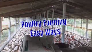 Broiler Poultry Farming Method with Project Report  Poultry Farming Easy Ways [upl. by Isewk]