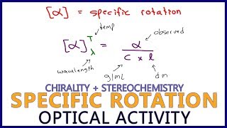 Specific Rotation and Observed Rotation Calculations in Optical Activity [upl. by Ainegue961]