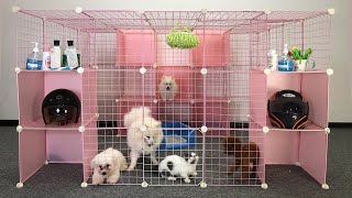 DIY  How To Make Dog House For Pomeranian Puppies With Cube Grid Wire  Cute Kitten  MR PET 51 [upl. by Lecirg]