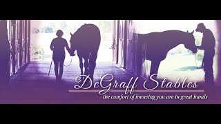 DeGraff Stables Stallion Collection [upl. by Elleivap]