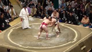 Daieisho 21  Osunaarashi 21  Sumo  Natsubasho 16 [upl. by Uoliram668]