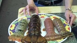 Four Types of Lobster Tails in the Lobster Gram Test Kitchen [upl. by Akilaz]