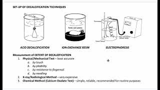 Decalcification Dehydration and Clearing [upl. by Eilraep948]