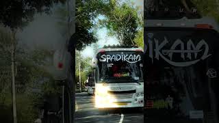 SPADIKAM HOLIDAYS spadikam spadikamholidays touristbus trending shortsfeed shorts viral [upl. by Avah]