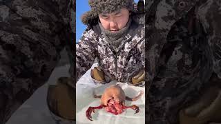 permafrost winter outdoorcooking cooking bushcooking bushcraft 🥶❄️🌨️☃️🍗🥩🦆 [upl. by Icram]