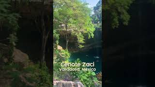 Incredible Cenote in Valladolid Mexico Cenote Zaci shorts [upl. by Reinhart]