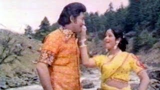 siggu mullu gappi song lyrics in telugu [upl. by Ambrogio959]