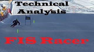 Analysing a FIS Racer Freeskiing and Gates [upl. by Akli]