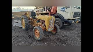 Ferguson FE35 disel model 1957 orginal goldbelly in Iceland [upl. by Northington940]