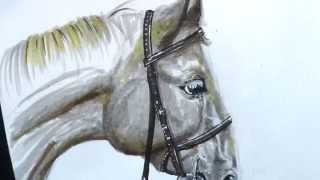 FaberCastell Pitt Artist Pen  Drawing Demonstration [upl. by Binetta]