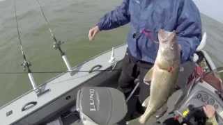 Mepps Walleye Trolling Rig Demo [upl. by Ranip]