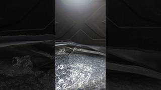 Unboxing Karambit bastinelli shortvideo unboxing [upl. by Gersham]