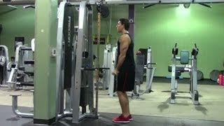 Reverse Triceps Pushdowns  HASfit Triceps Exercise Demonstration  Reverse Cable Press Push Down [upl. by Pierette]