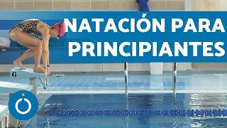 NATACIÓN para PRINCIPIANTES Clase Completa 🏊🏽‍♂️ Aprender a Nadar desde Cero Adultos [upl. by Evangelina]