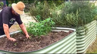 How to Know When Your Garden Soil is GOOD or NEEDS Replenishing [upl. by Derriey670]