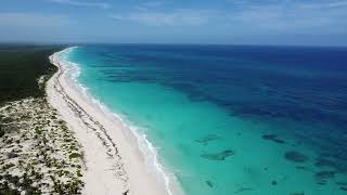 DJI drone flight above Punta Cana hotel area [upl. by Donna]