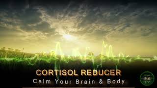 cortisol is not my problem [upl. by Earal]