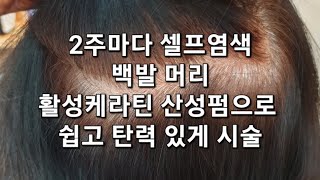 먹물 염색 셀프 염색모발 활성케라틴 산성펌으로 쉽고 탄력 있게 열펌 하세요 [upl. by Erminie]