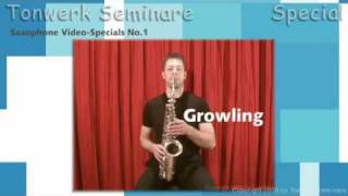 Tonwerk Seminare Special Saxophon lernen mit Saxophone VideoSpecials No1 [upl. by Arotahs]