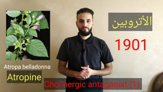 Cholinergic antagonist1 ATROPINE الأتروبين [upl. by Asiruam]