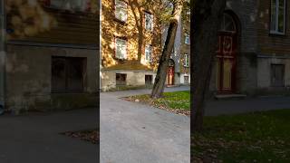 Estonia’s Capital Tallinn Autumn Tour autumn travel tour europe nature shortvideo shorts [upl. by Thacher]