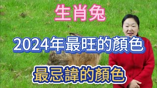 生肖兔！2024年最旺的顏色！屬兔人最忌諱的顏色！用對顏色就能招來好運！一整年都好運連連！平安吉祥！財源滾滾！ [upl. by Rebekkah]