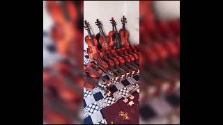 Experience for making violin any kind of violin manufacturing Rampur Uttar Pradesh arfviolin [upl. by Stephan]