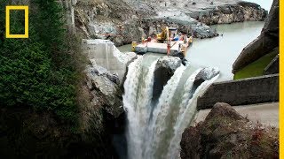 Rehabilitación del Río ELWHA tras la eliminación de la PRESA más grande de USA  NatGeo en Español [upl. by Lleuqram]