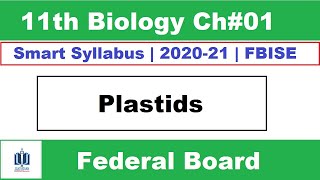 Structure and Function of Plastids Class 11 Biology  cell Ilmi Stars Academy [upl. by Neelrahc]