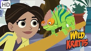 Wild Kratts  Discovering the Secrets of the Animal Kingdom [upl. by Garvin573]