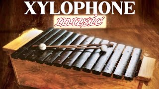 Xylophone Music Instrumental  Boost Positive Energy  Wake Up Music [upl. by Tartan639]