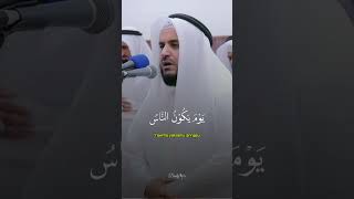 Beautiful Quran Recitation [upl. by Aset729]