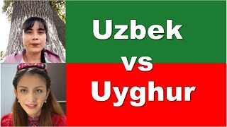 Uzbek VS Uyghur  Language comparison basic phrases [upl. by Kasper]