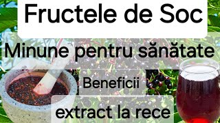 Fructele de Soc  beneficiile uimitoare pentru sanatate Suc din fructe de soc  rețetă [upl. by Kurys]