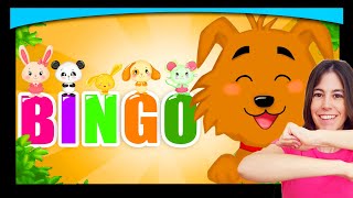 NEW 🐶Bingo  Dance  Song  Titounis [upl. by Cirillo]