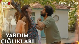 Fidan ve Behçet karşılaşırsa… 😂  Gönül Dağı 147 Bölüm trt1 [upl. by Auqeenwahs]