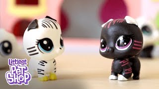 LPS Emily Littlest Pet Shop Black amp White Collection Review ad [upl. by Sloatman]