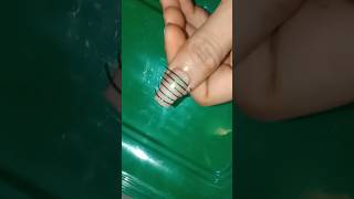 Beautiful stripping tape nail art design at home yt youtube ytshorts youtubeshorts [upl. by Fusuy201]