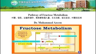 Pathway of Fructose Metabolism [upl. by Norud]