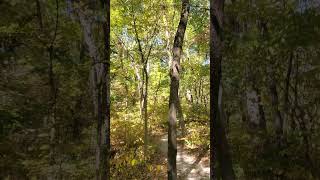 Springfield Mo Conservation Area Hike 102024 [upl. by Charters631]