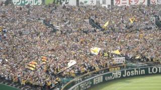 甲子園での凄まじい応援。５万人の阪神ファン [upl. by Aehsal]